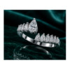 arc-ring
